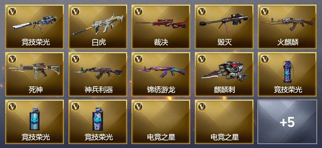 穿越火线（CF）14V武器 1V角色 4皮肤 可排位 新锐