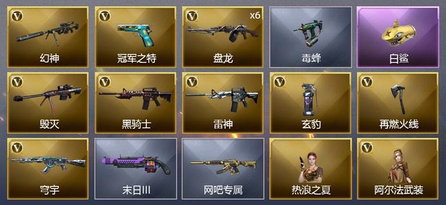 穿越火线（CF）14V武器 1V角色 4皮肤 可排位 专家