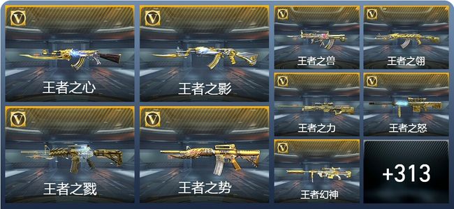 穿越火线：枪战王者V9 502英雄武器 新锐