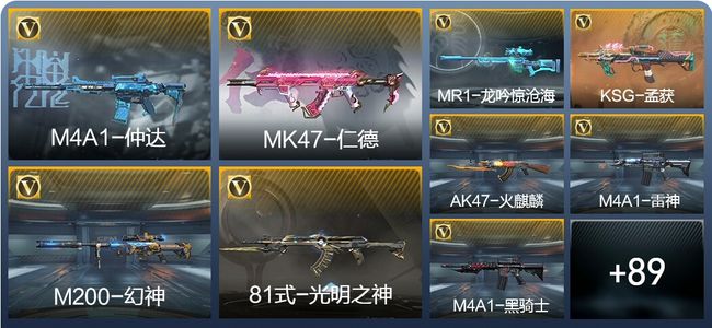 穿越火线：枪战王者V2 199英雄武器 新锐