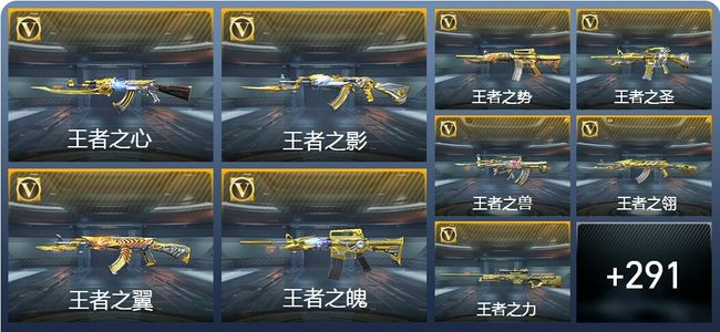 穿越火线：枪战王者V10 528英雄武器 新锐