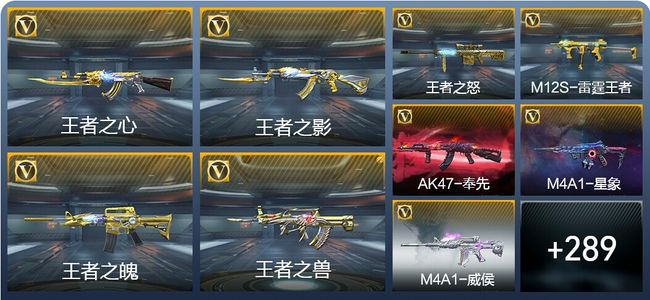 穿越火线：枪战王者V8 493英雄武器 新锐