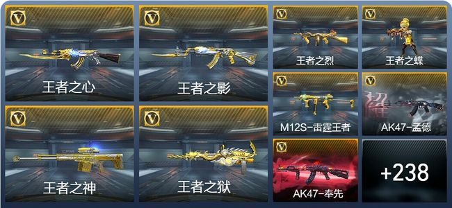 穿越火线：枪战王者V6 417英雄武器 新锐