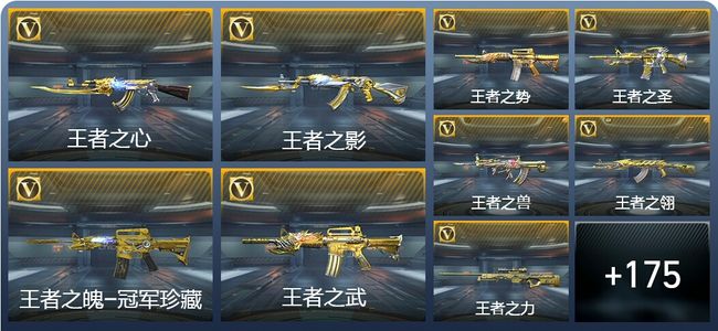 穿越火线：枪战王者V10 264英雄武器 新锐