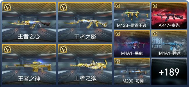 穿越火线：枪战王者V7 307英雄武器 新锐