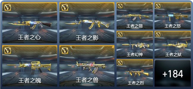 穿越火线：枪战王者V8 294英雄武器 新锐