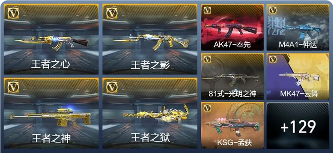 穿越火线：枪战王者V6 231英雄武器 新锐