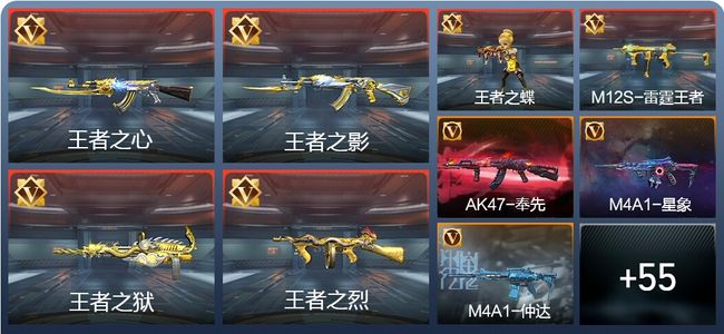 穿越火线：枪战王者V8 102英雄武器 新锐