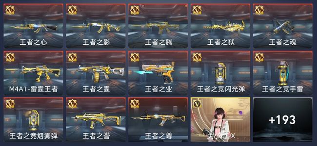 穿越火线：枪战王者V7 10王者 358英雄武器 新锐