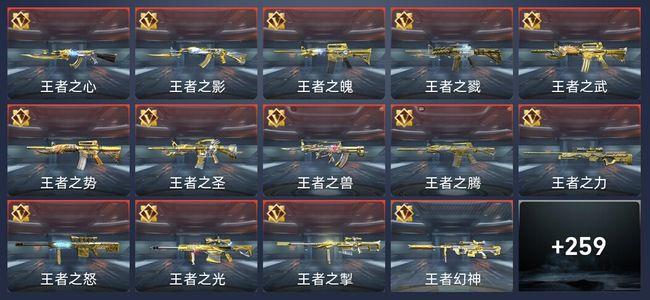 穿越火线：枪战王者V10 422英雄武器 新锐