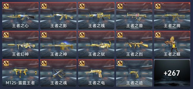 穿越火线：枪战王者V8 396英雄武器 新锐