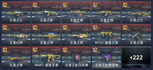 穿越火线：枪战王者V8 399英雄武器 新锐