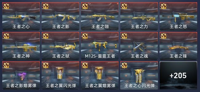 穿越火线：枪战王者V8 344英雄武器 新锐