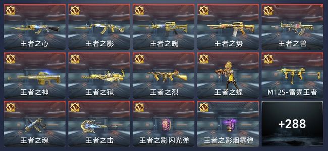 穿越火线：枪战王者V8 511英雄武器 新锐