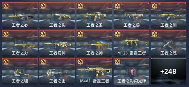 穿越火线：枪战王者V9 384英雄武器 新锐