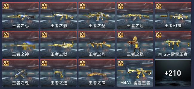 穿越火线：枪战王者V7 363英雄武器 新锐