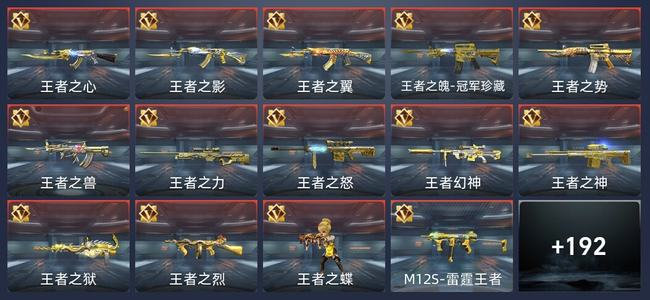 穿越火线：枪战王者V10 253英雄武器 新锐