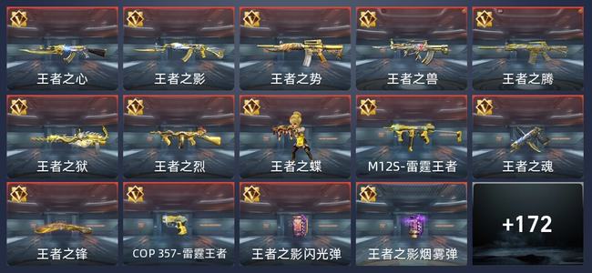 穿越火线：枪战王者V8 271英雄武器 新锐