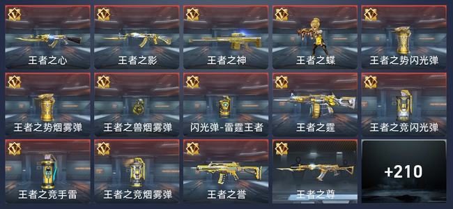 穿越火线：枪战王者V5 343英雄武器 新锐