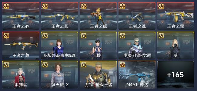 穿越火线：枪战王者V3 310英雄武器 新锐