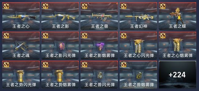 穿越火线：枪战王者V6 384英雄武器 新锐