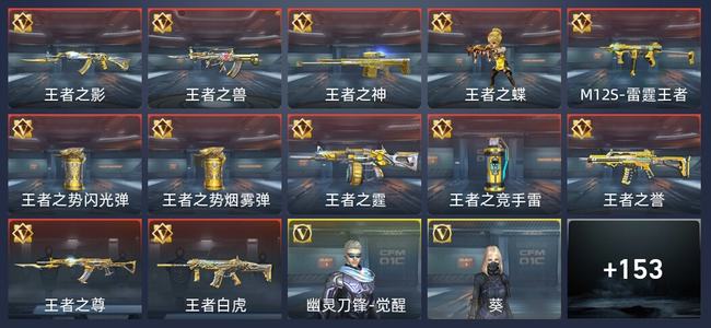 穿越火线：枪战王者V5 269英雄武器 新锐