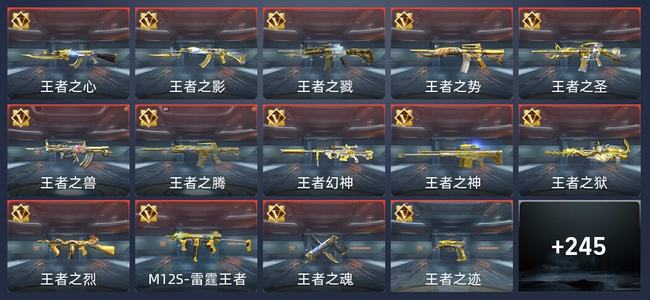 穿越火线：枪战王者V9 348英雄武器 新锐