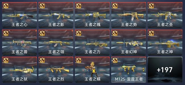 穿越火线：枪战王者V8 296英雄武器 新锐