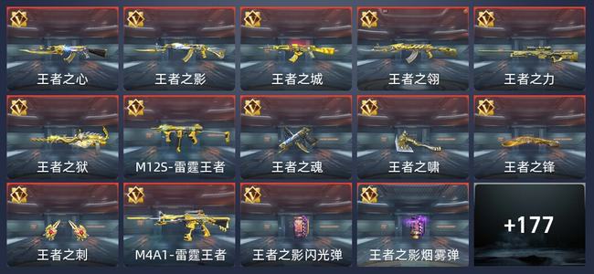 穿越火线：枪战王者V8 307英雄武器 新锐