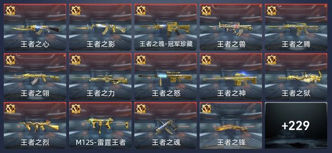 穿越火线：枪战王者V9 409英雄武器 新锐