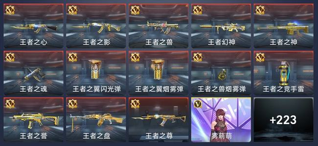 穿越火线：枪战王者V7 13王者 229英雄武器 8英雄角色 563万化 专家S