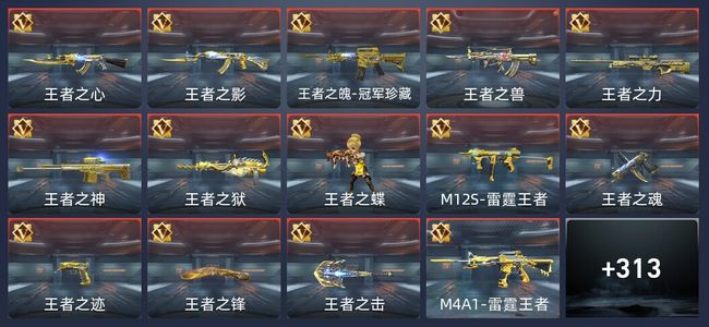穿越火线：枪战王者31王者 318英雄武器 9英雄角色 513万化 枪王S