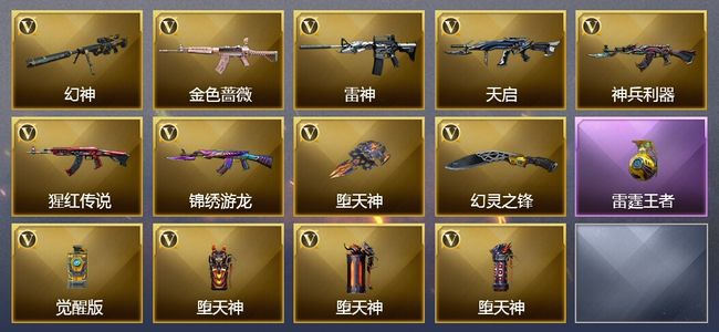 穿越火线（CF）1王者武器 13V武器 1皮肤 可排位 新锐