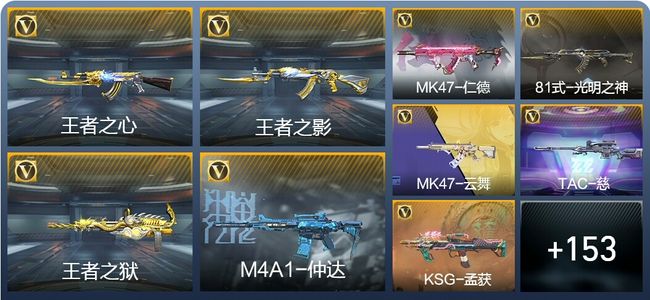 穿越火线：枪战王者V5 348英雄武器 新锐