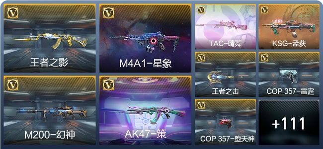 穿越火线：枪战王者V6 175英雄武器 新锐