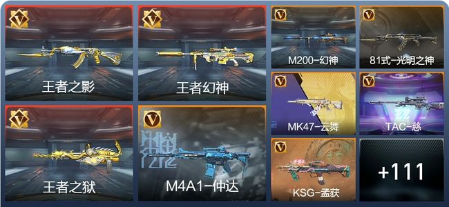 穿越火线：枪战王者V6 231英雄武器 新锐