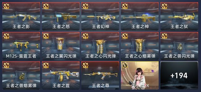 穿越火线：枪战王者V8 335英雄武器 新锐