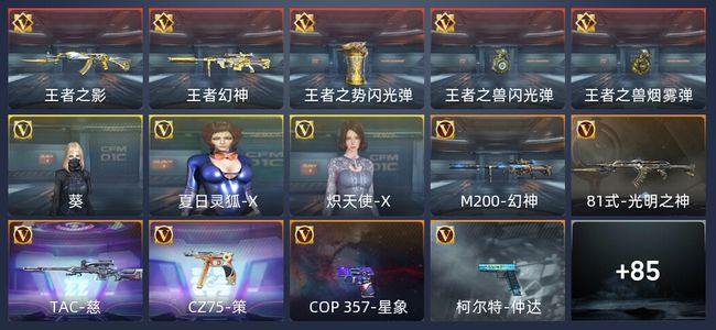 穿越火线：枪战王者V6 147英雄武器 新锐