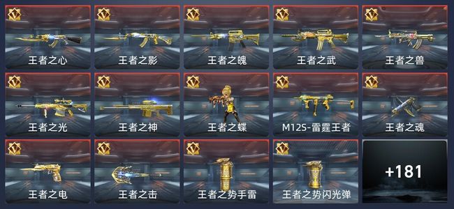 穿越火线：枪战王者V8 307英雄武器 新锐