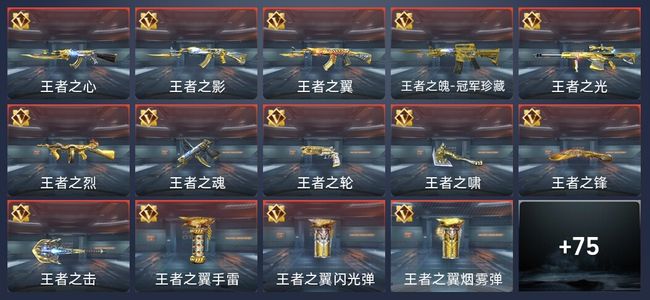 穿越火线：枪战王者V8 132英雄武器 新锐