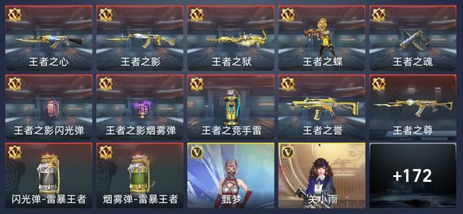 穿越火线：枪战王者V6 296英雄武器 新锐