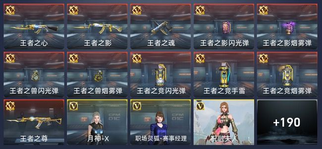 穿越火线：枪战王者V6 331英雄武器 新锐