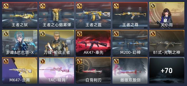穿越火线：枪战王者V5 144英雄武器 新锐