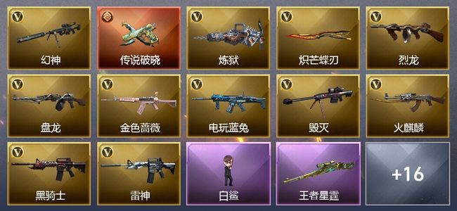 穿越火线（CF）1传说武器 2王者武器 2炫金武器 35V武器 13V角色 9皮肤 可排位