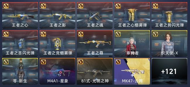 穿越火线：枪战王者V6 213英雄武器 新锐