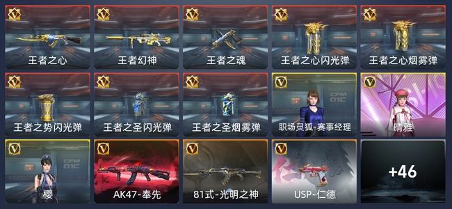 穿越火线：枪战王者V6 69英雄武器 新锐