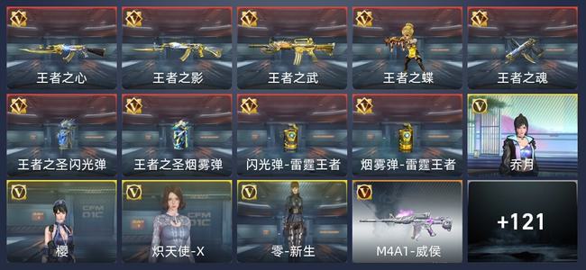 穿越火线：枪战王者V5 214英雄武器 新锐
