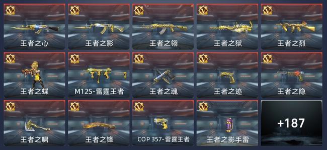穿越火线：枪战王者V9 275英雄武器 新锐