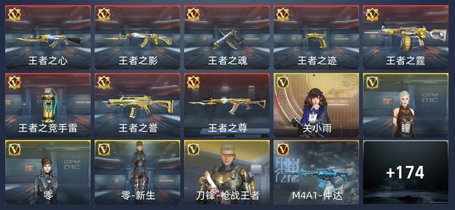 穿越火线：枪战王者V2 307英雄武器 新锐