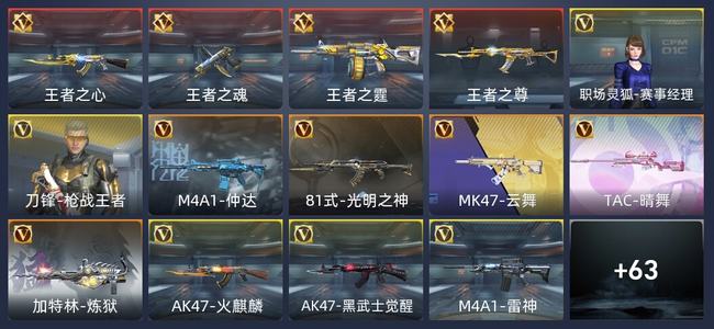 穿越火线：枪战王者V2 134英雄武器 新锐